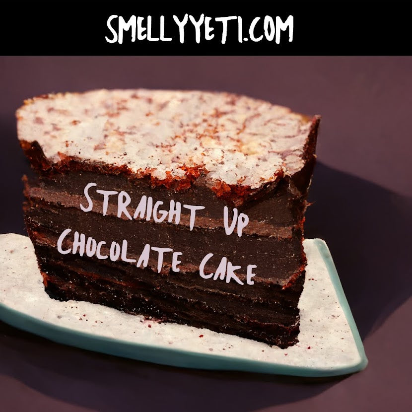 Straight Up Chocolate Cake