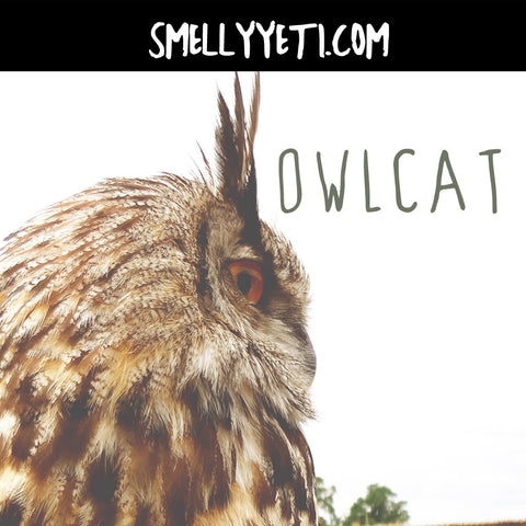 Owlcat
